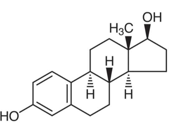 β-Estradiol.jpg