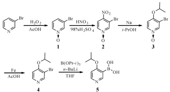 2-甲氧基吡啶-4-硼酸的制备