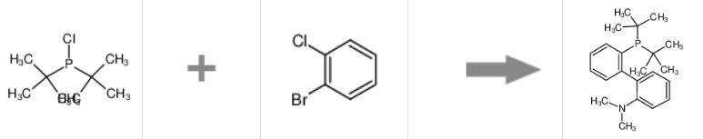 2-二叔丁基磷-2-(N,N-二甲氨基)联苯的制备