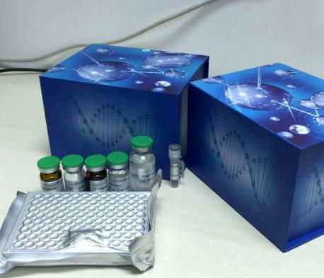 小鼠晚期糖基化终末产物(AGES)ELISA试剂盒的应用