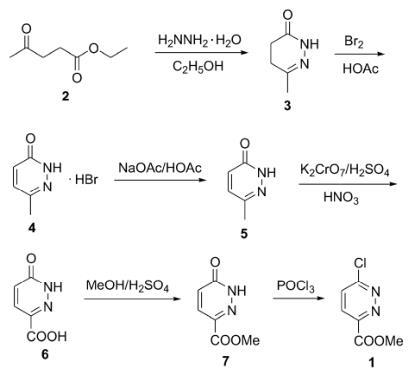 6-氯哒嗪-3-甲酸甲酯的合成路线图