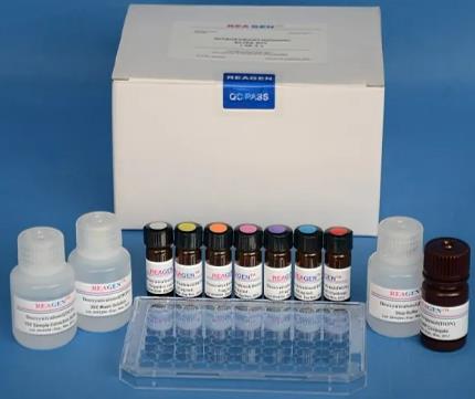 大鼠环孢素A(CSA)ELISA试剂盒