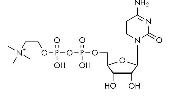 胞磷胆碱的临床应用及作用机理