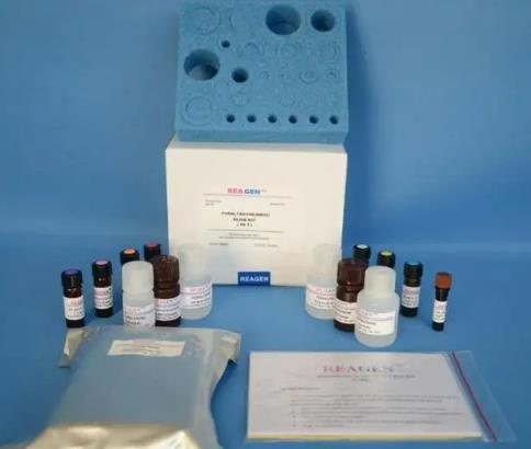 人表皮生长因子(EGF)ELISA 试剂盒的应用