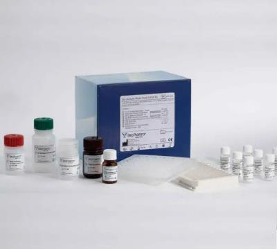 人B细胞受体(BCR)ELISA试剂盒的应用