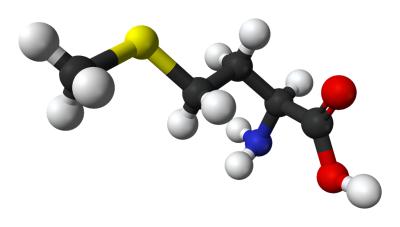 71-00-1 amino acidL-Histidinebenefits