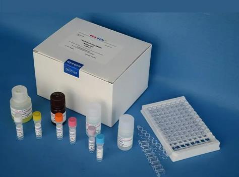 A群脑膜炎IGG抗体测定试剂盒