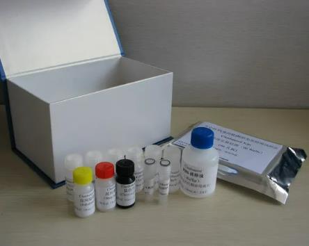人周期素依赖性激酶4(CDK-4)ELISA试剂盒的应用