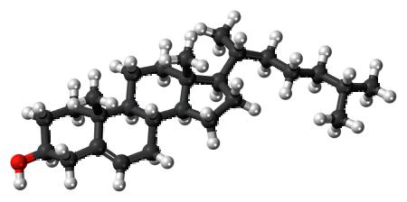 1024px-Cholesterol_molecule_ball.png