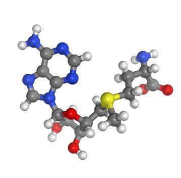 506-68-3 Cyanogen bromideCyanogen bromide Toxicity