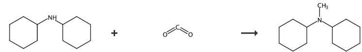 图3 N-甲基二环己基胺的合成路线[4]。