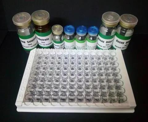 人生长激素结合蛋白(GHBP)ELISA试剂盒的应用
