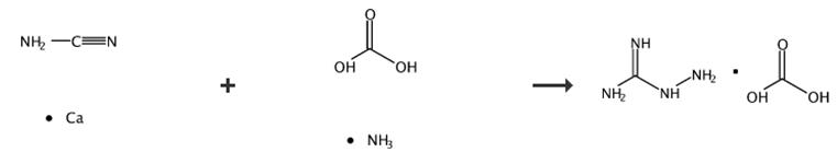 图2 氨基胍碳酸盐的合成路线[2]。