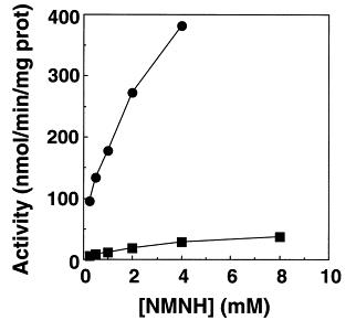108347-85-9 β-nicotinamide mononucleotide, reduced form, disodium salt(NMNH); Theoretical Study; Bioactivity; Application