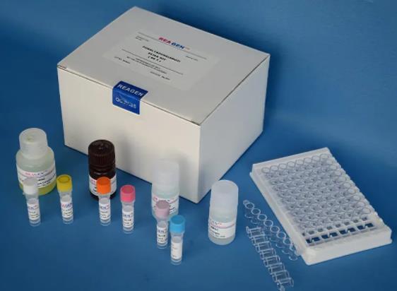 人磷酯酶C(PLC)ELISA 试剂盒的应用