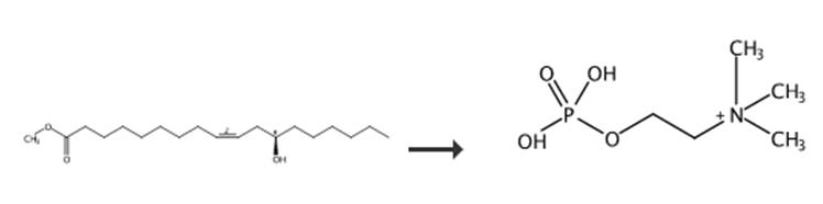 图1 磷酸胆碱的合成路线[2]。