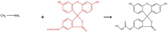 异硫氰酸荧光素的应用转化