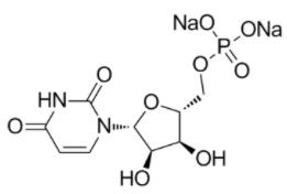 5'-尿苷酸二钠的化学结构式