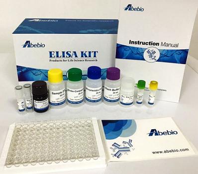 大鼠细胞色素P450(CYP450)ELISA KIT的应用