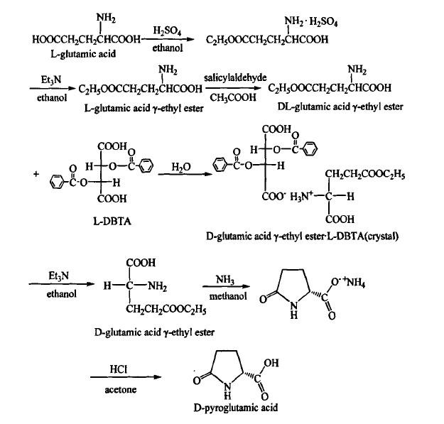 D-焦谷氨基酸应用与制备