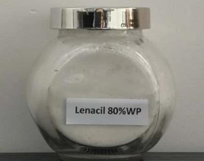 2164-08-1 LenacilSafety Herbicide
