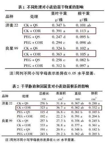 COR-冠菌素——全球首创的植物信号分子调控剂