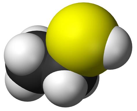 乙硫醇的危害及毒理学