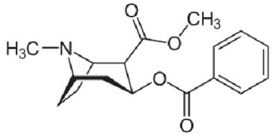 可卡因的化学结构式.png