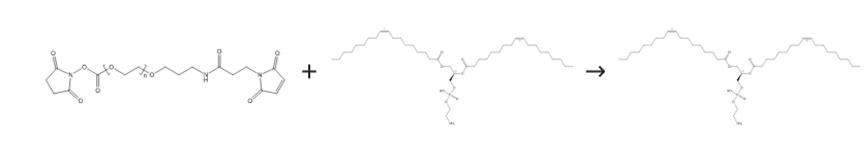 图2 1，2-二油酰-SN-甘油-3-磷酰乙醇胺的合成路线[2]。
