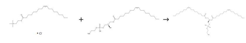 图3 1，2-二油酰-SN-甘油-3-磷酰乙醇胺的合成路线[3]。