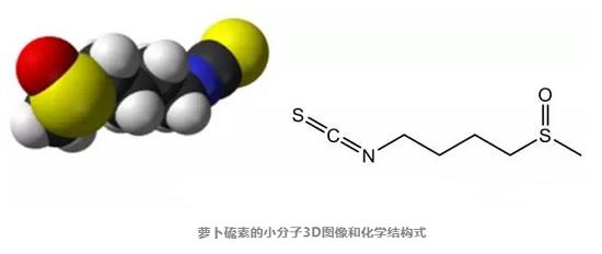 萝卜硫素的小分子3D图像.png