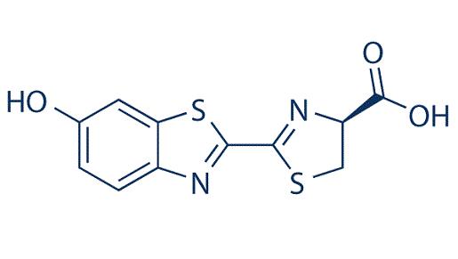 D-荧光素的发光原理与制备