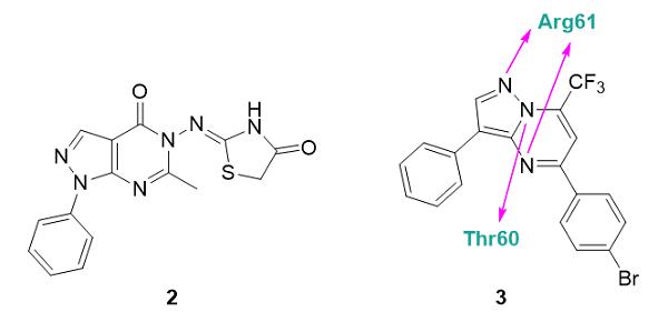 基于嘧啶衍生物的抗炎化合物.png