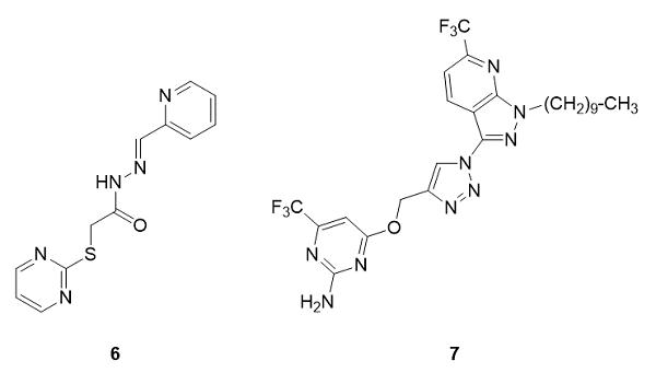 嘧啶衍生物类抗菌化合物.png