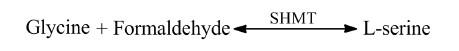 L丝氨酸的酶法合成.jpg