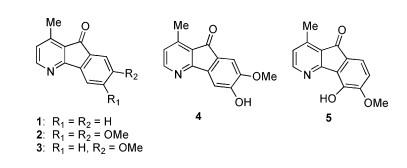 Azafluorenone的合成.jpg