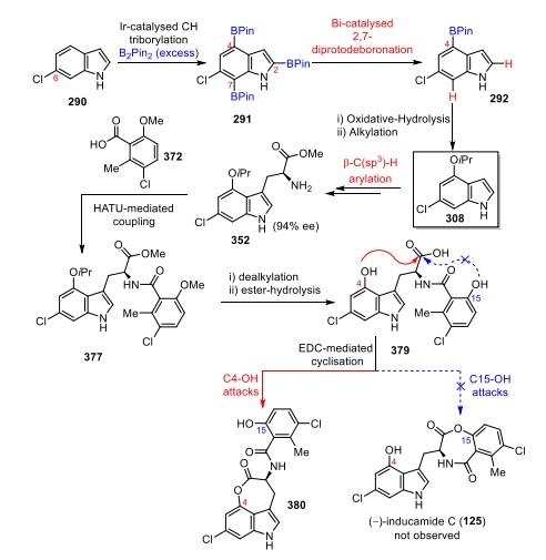 天然产物Inducamides C的合成.jpg