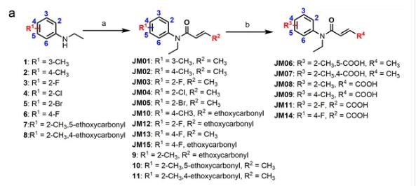 克罗米通衍生物JM03通过抑制OSM-9可更显著延长寿命1.png