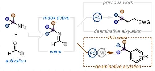 磺酰胺的脱胺芳基化5.png