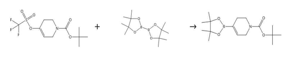 N-Boc-1，2，5，6-四氢吡啶-4-硼酸频哪醇酯的制备