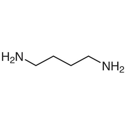 1,4-丁二胺的合成
