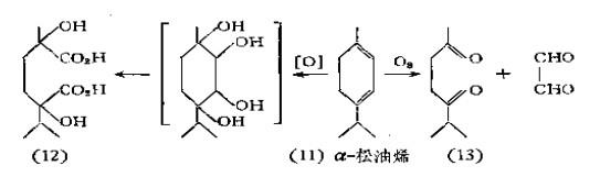 α-松油烯的结构式(11)系由氧化降解.jpg