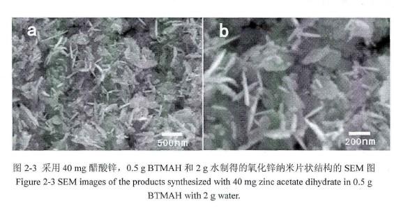 苄基三甲基氢氧化铵(BTMAH)的辅助下制备了片状结构的氧化锌纳米颗粒.jpg