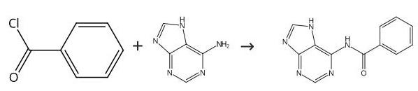 N-Benzoylaminopurine synthesis.jpg