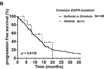 常见与罕见EGFR突变患者无进展生存
