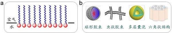 表面活性剂的基本性质.jpg