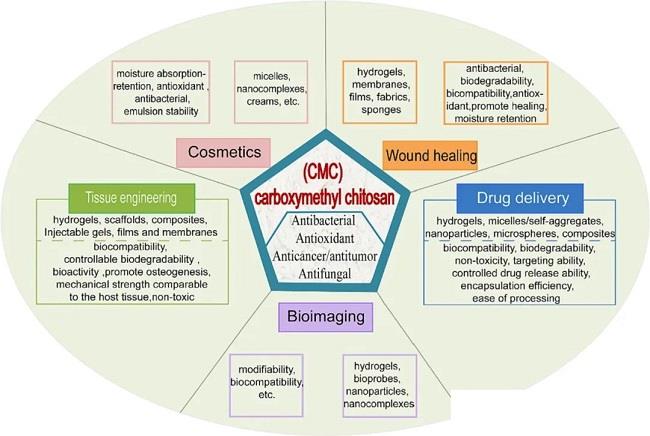 羧甲基壳聚糖基材料在生物医用领域中有什么用？