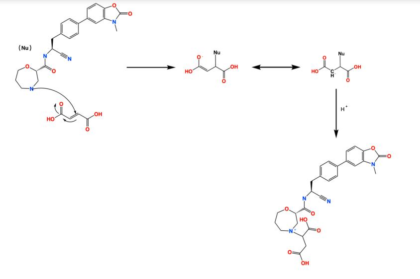 Figure 2 Degradation caused by incompatibility between sodium stearyl fumarate and AZD7986 in the drug product.