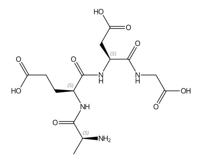 埃皮塔隆的生物活性和储存方法