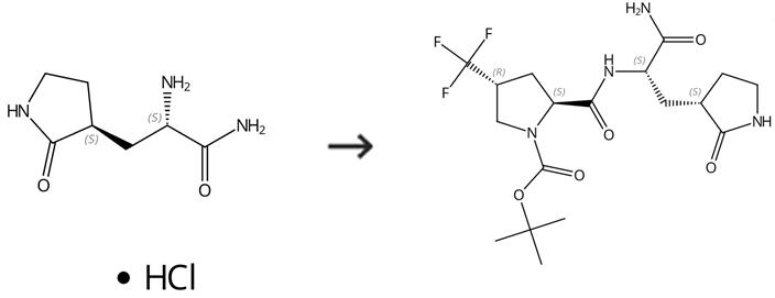 α-氨基-2-氧代-3-吡咯烷丙酰胺盐酸盐的用途